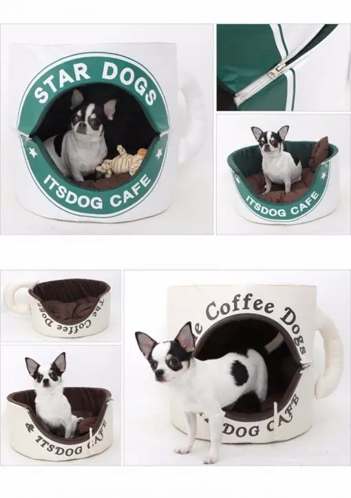 Coffee Cup Dog Bed, Funny Dog Bed Glamorous Dogs Shop - Glamorous Accessories for Your Dog + FREE SHIPPING