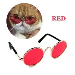 COOL™: Cool Sunglasses for Pets Sunglasses For Pets GlamorousDogs Small (Width 3.14
