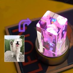 Customized 3D Lamp of Your Pet’s Favorite Photo 3D Lamp GlamorousDogs