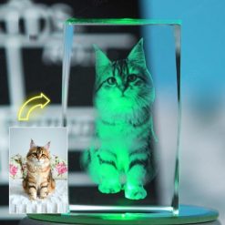 Customized 3D Lamp of Your Pet’s Favorite Photo 3D Lamp GlamorousDogs 