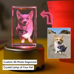 Customized 3D Lamp of Your Pet’s Favorite Photo 3D Lamp GlamorousDogs Crystal Only+Gift Box