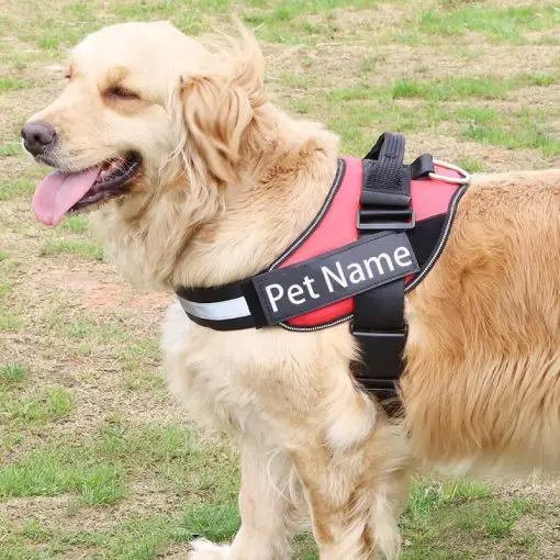 Customized Name Tag for Pet Vests Custom dog tag GlamorousDogs