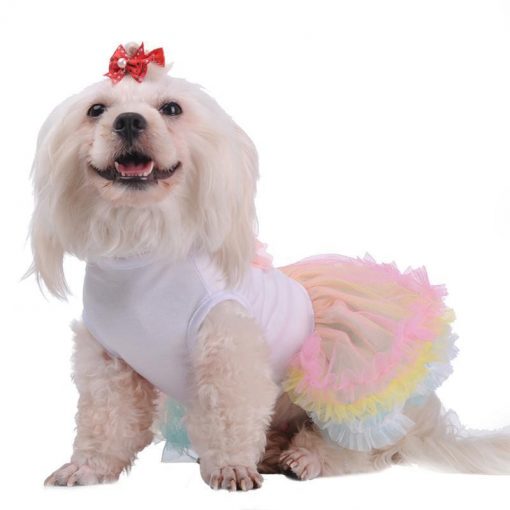 Cute Birthday Princess Dress | Best Gift for Dog Lovers GlamorousDogs