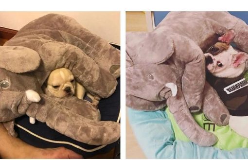 Cute Elephant Stuffed Plush Huggable Toy Pet Toy GlamorousDogs