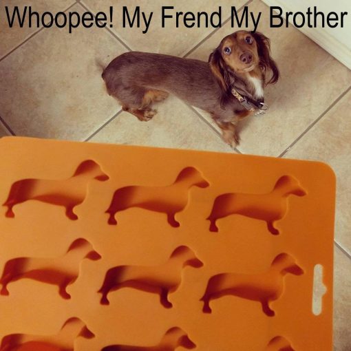 Dachshund Candy Silicon Tray Stunning Pets