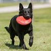 Frisbee For Dogs