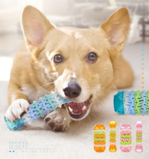 Dog Best Buddy Interactive Chew Toy Stunning Pets