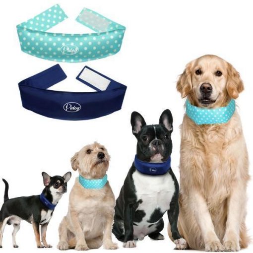 Dog Cooling Collar Reduces Heat-Stress, Fights Fatigue Stunning Pets