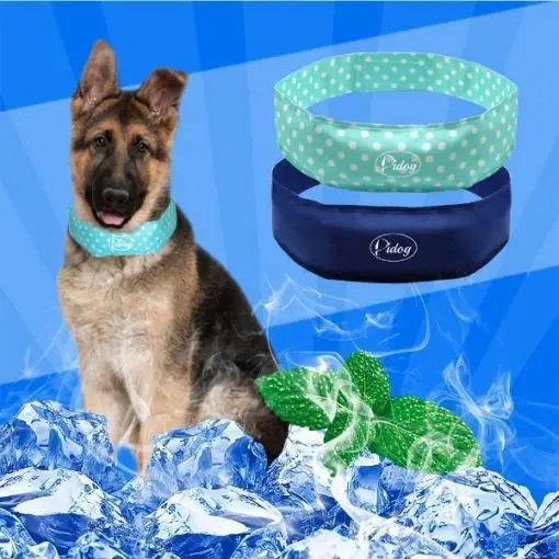 Dog Cooling Collar Reduces Heat-Stress, Fights Fatigue Stunning Pets
