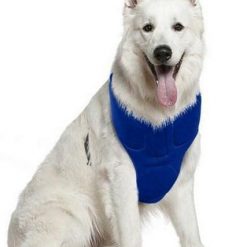 Dog Cooling Vest GlamorousDogs 