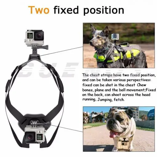 Dog Harness Chest Mount for Gopro hero - Limited Edition GoPro Vest GlamorousDogs