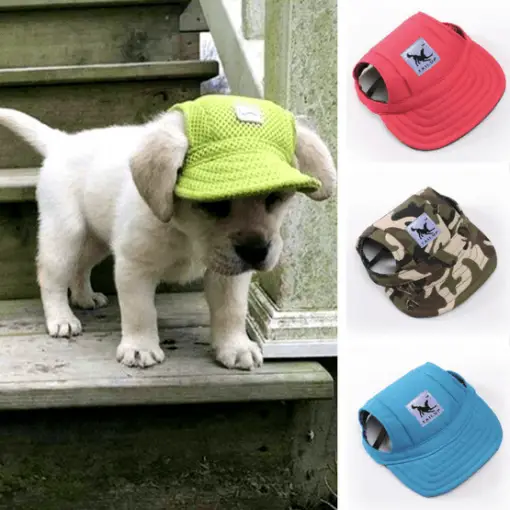 Dog Hats Stunning Pets
