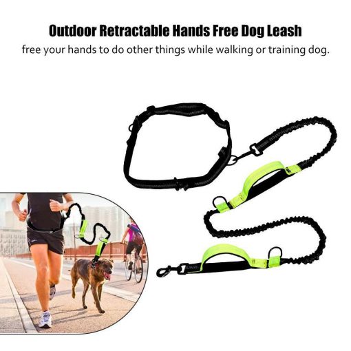 Dog Leash For Running with Retractable Hand Free Stunning Pets