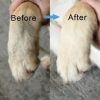 Dog Paw Cleaner With Soft Silicone Bristles dailypets2 