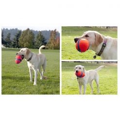 Dog Soccer Fetch Ball Toys Stunning Pets 