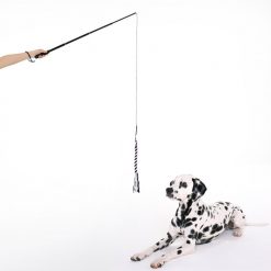 Dog Training Rope Toy Stunning Pets 