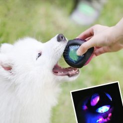 Durable Luminous Dog Ball Training Toy with Sound and Light | Amazing for your pooch July Test GlamorousDogs
