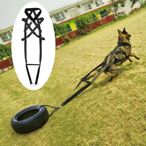 ELITE Tactical Dog Training Strap Military Trainer Glamorous Dogs