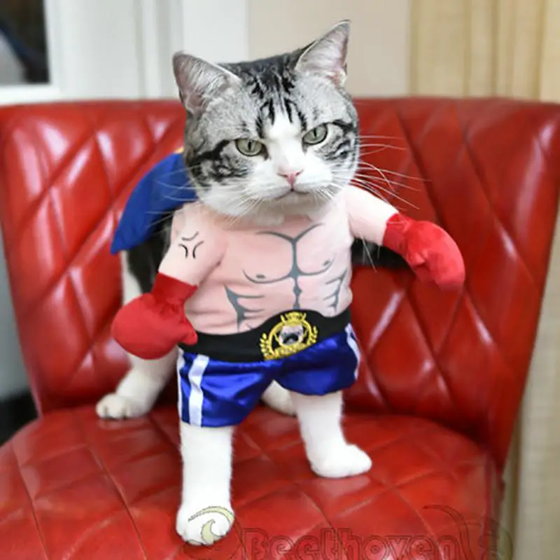 Fighter Pet Costume