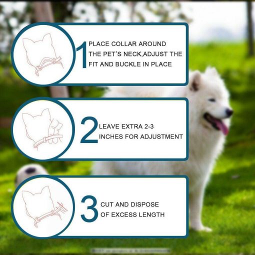 Flea And Tick Prevention For Dogs| Shield Pet Pro Collar Tick Remover GlamorousDogs