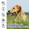 Flea And Tick Prevention For Dogs| Shield Pet Pro Collar Tick Remover GlamorousDogs 