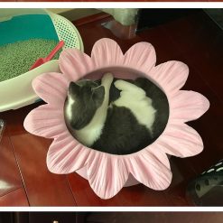 Flower-shaped Cat Bed Nest | Best Gift for Cat Owners July Test ATC GlamorousDogs 