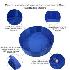Foldable Swimming Pool for Dogs | Beat the Summer Heat August Test GlamorousDogs