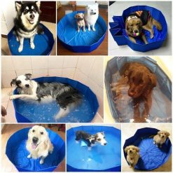 Foldable Swimming Pool for Dogs | Beat the Summer Heat August Test GlamorousDogs