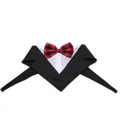 Formal Dog Tuxedo | Your Dog Will Look Dashing in This! Stunning Pets S 