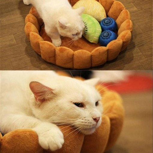 Fruit Tart Cat Bed | Cat-approved Bed | Free Shipping July Test ATC GlamorousDogs