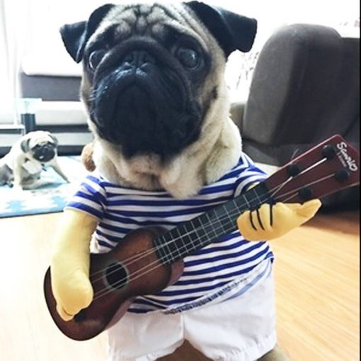 Funny Guitar Player Cosplay Costume Stunning Pets