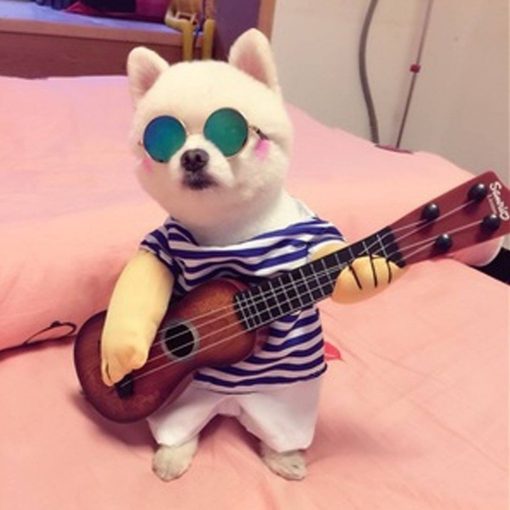 Funny Guitar Player Cosplay Costume Stunning Pets