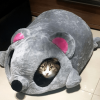 Funny Mouse Shaped Cat Bed Stunning Pets 