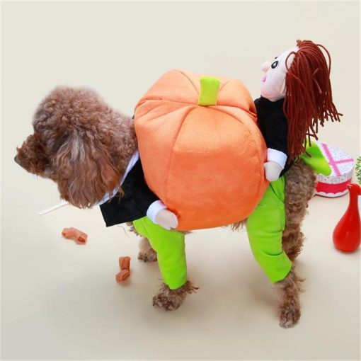 Funny Pumpkin Halloween Costume for Dogs Halloween costume GlamorousDogs