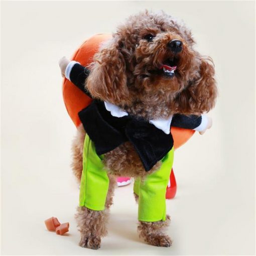 Funny Pumpkin Halloween Costume for Dogs Halloween costume GlamorousDogs