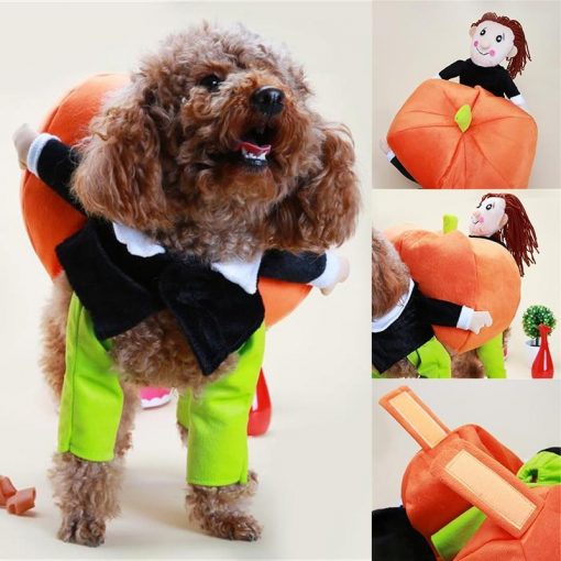 Funny Pumpkin Halloween Costume for Dogs Halloween costume GlamorousDogs S