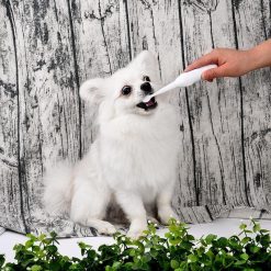GENTLEBRUSH™: Gentle Electric Toothbrush for Dogs Pet Electric Toothbrush GlamorousDogs 