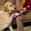 GENTLEGRINDER™: The Gentlest Nail Grinder for All Pets Glamorous Dogs 