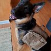 German Hiking Backpack& Dog Harness For Outdoor Camping GlamorousDogs 