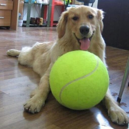 GIANTB™: Giant Tennis Ball for Pets Dog Toy GlamorousDogs 1pc