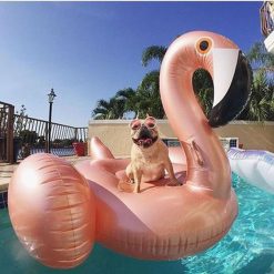 Giant Inflatable Float Ride-on! Stunning Pets 150cm flamingo