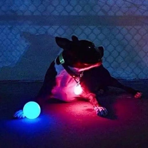 Glow Ball for all dogs with free LED Reflective Pendant Fun Stunning Pets