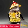 Golden King Empire Suit for Pets Stunning Pets 