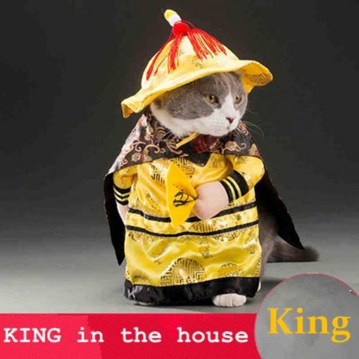 Golden King Empire Suit for Pets Stunning Pets