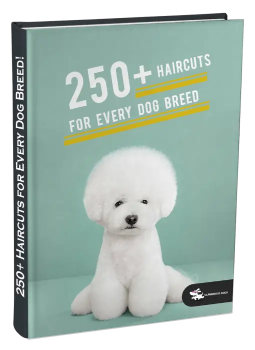 Haircuts For Dogs Breed! E-Book Glamorous Dogs Shop - Glamorous Accessories for Your Dog + FREE SHIPPING