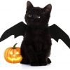 Halloween Bat Wings Halloween costume SEASENXI 'PrettyHome Store 
