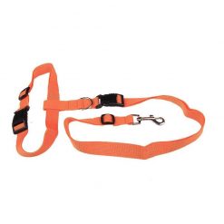 Hands-Free Dog Leash Running leash GlamorousDogs Orange 