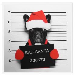 HD Print Christmas Hat Dog Stunning Pets 