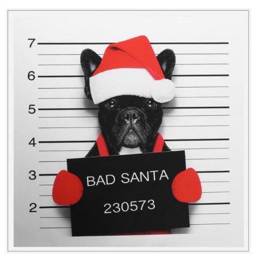 HD Print Christmas Hat Dog Stunning Pets