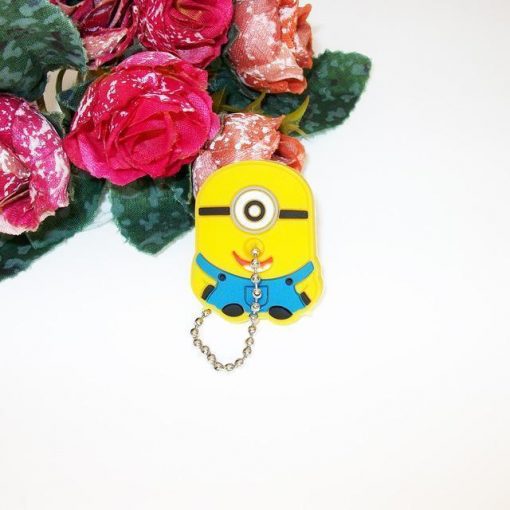 Hello Kitty Key Cover with Chain Stunning Pets Minions